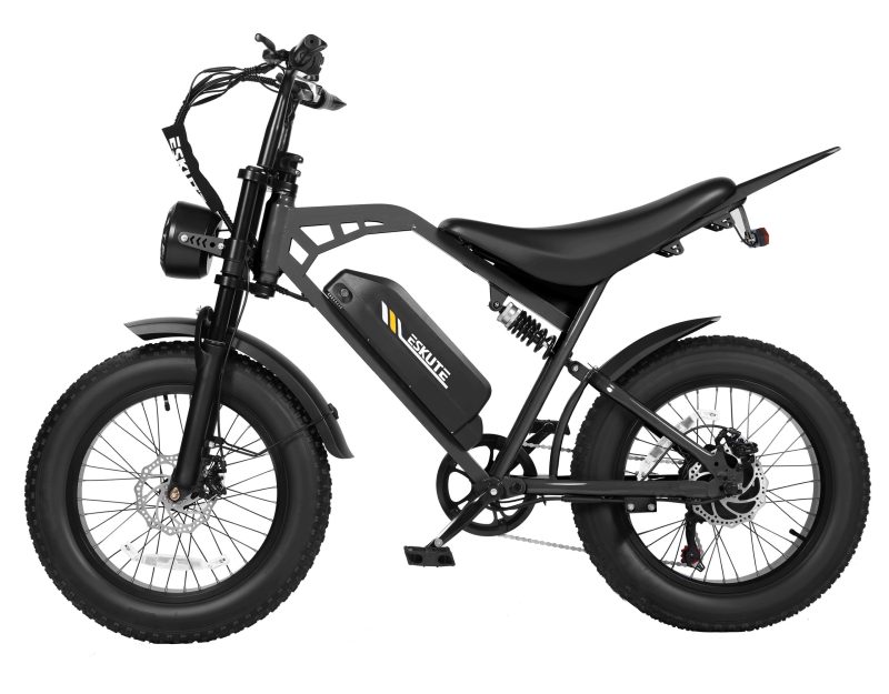V200 20*4.0" Dirt Electric Bike for Kids&Teens