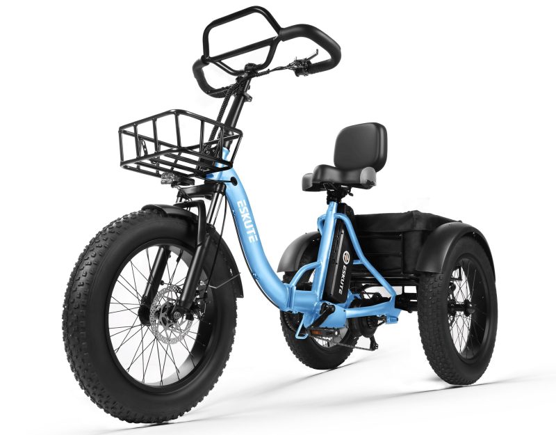 T300Pro Folding Electric Trike